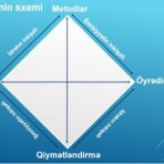 Təlim və onun komponentləri